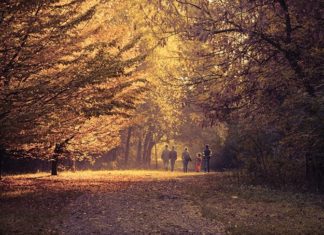 Family-Friendly Fall Activities