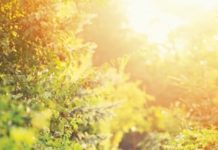 Get Ready for Back-to-School Season