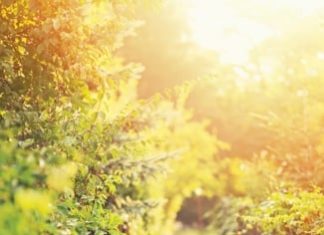 Get Ready for Back-to-School Season