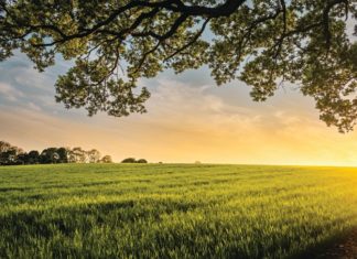 The Gift I Never Expected