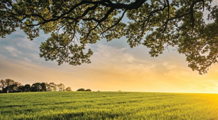 The Gift I Never Expected