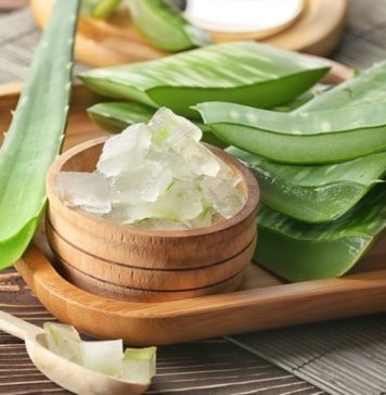 10 Amazing Health Benefits of Aloe Vera