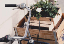 Recovery For People and The Planet