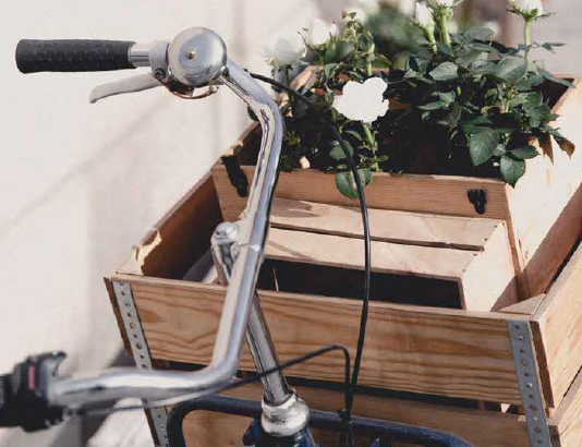 Recovery For People and The Planet