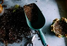 Grow Your Sustainable and Organic Gardening Knowledge