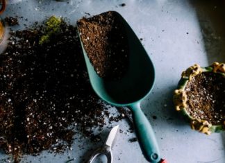 Grow Your Sustainable and Organic Gardening Knowledge