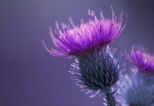 Detoxification For The Whole Person