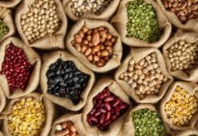 Zinc 101: What You Should Know About This Multitasking Mineral