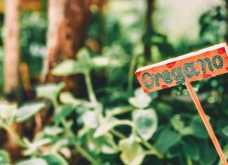 The Cold, The Flu, and The Gut