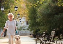3 Ways Pups Can Improve Seniors\’ Health