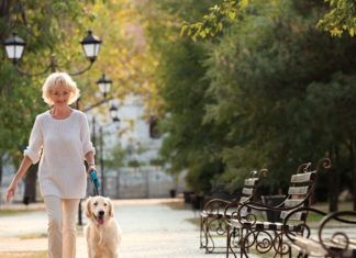 3 Ways Pups Can Improve Seniors\’ Health