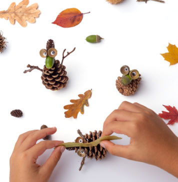 23 Pinecone Crafts and Experiments for All Ages and Stages