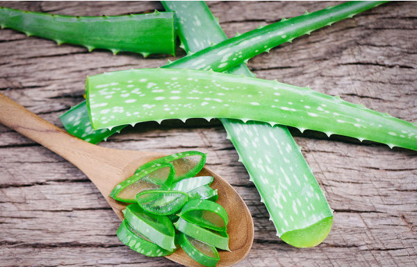 10 Aloe Vera Hair Masks for a Gorgeous Mane