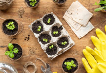 Save the Planet: 21 Earth Day Activities and Crafts for Kids