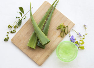 Love Your Skin: 8 Aloe Vera Face Masks For a Clear Complexion