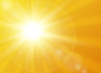 Vitamin D 101: 6 Vitamin D Deficiency Remedies for Women