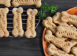 50 Healthy Homemade Dog Treats Your Fur Baby Will Love